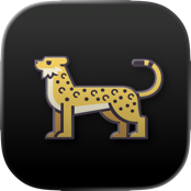 Mac Download Manager app icon